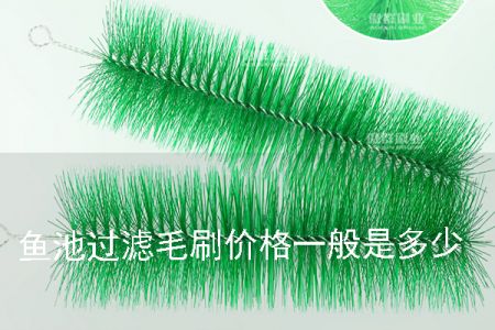 魚池過濾毛刷的價格一般是多少 魚池過濾毛刷的價格一般是多少