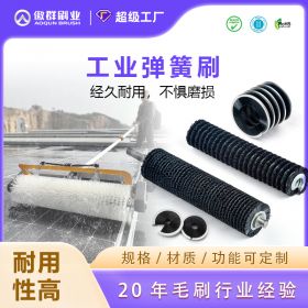 工業(yè)彈簧刷 工業(yè)彈簧刷